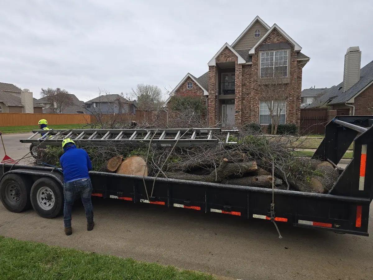 Expert Lot Clearing with proper safety equipment in Squirrel Island